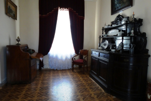 Дворец Тарновских, Качановка